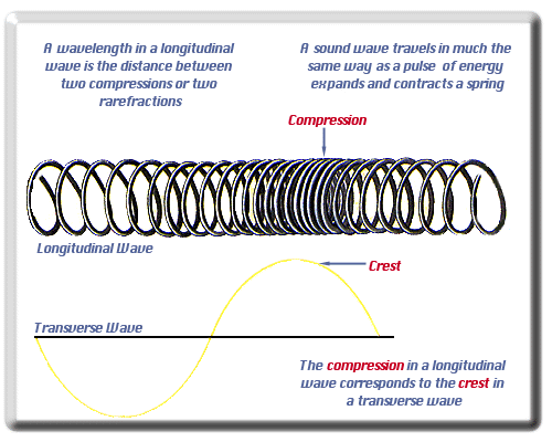 [Comparing Longitudinal and Transverse Waves Graphic]